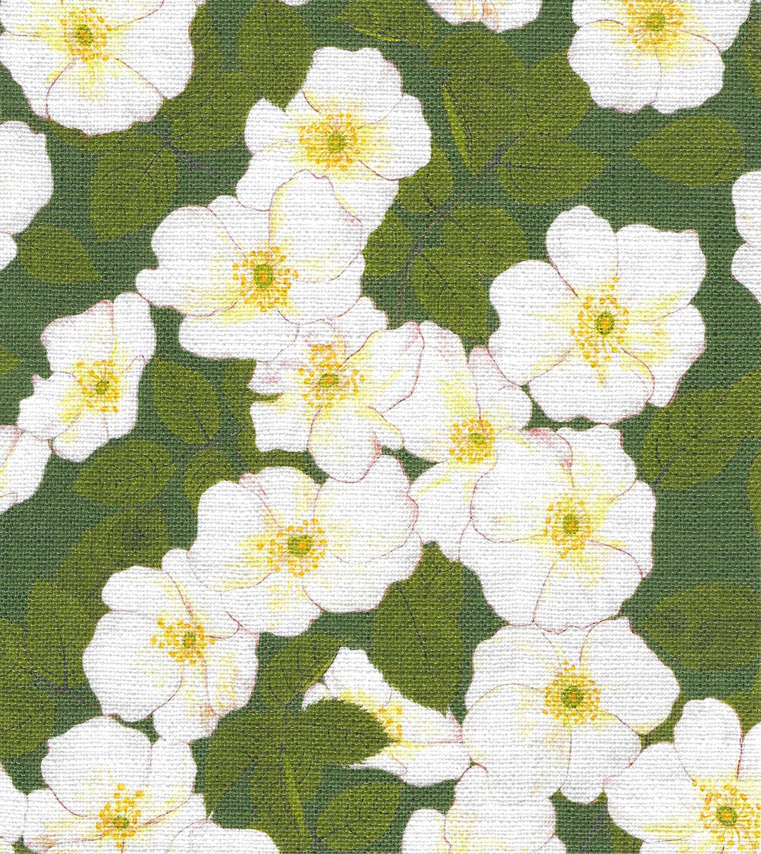 Field Rosa Fabric
