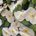 Hedgegrow Rosa Fabric
