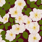 Hedgegrow Rosa Fabric