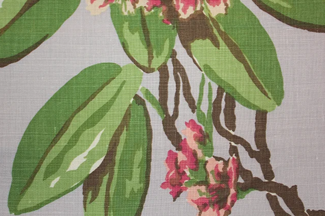 Rhododendron