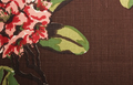 Rhododendron