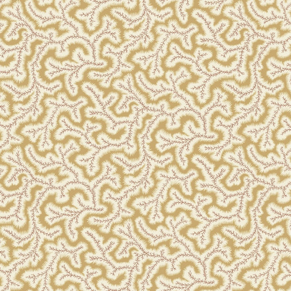 Little Dulcie Wallpaper