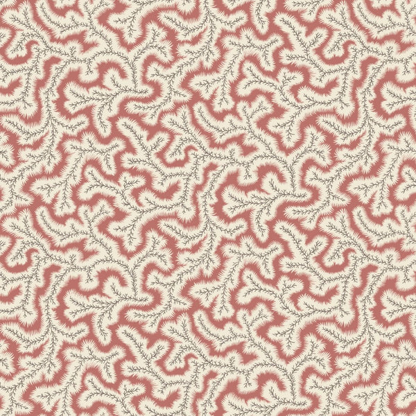 Little Dulcie Wallpaper