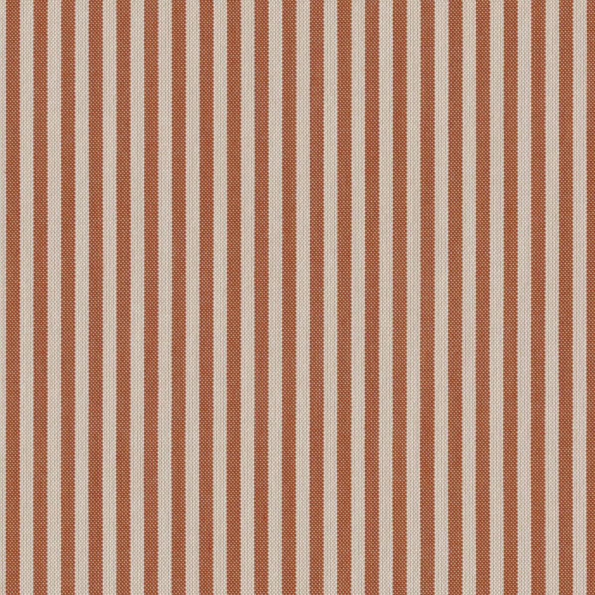 Rigo Stripe