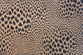 Madagascar Wallpaper