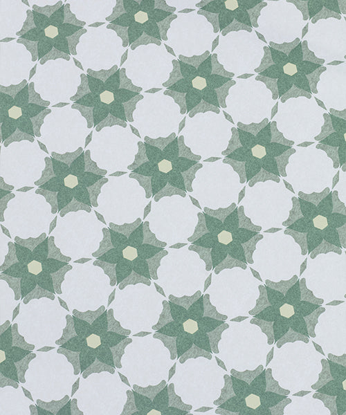 Carolina Wallpaper