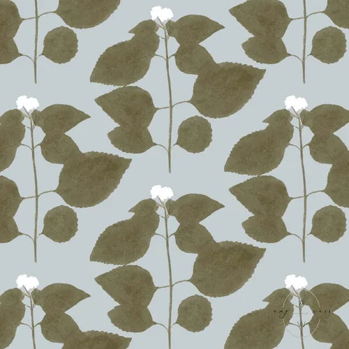 Verbena Wallpaper