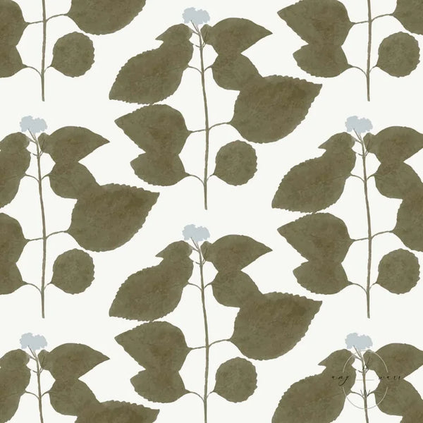 Verbena Wallpaper